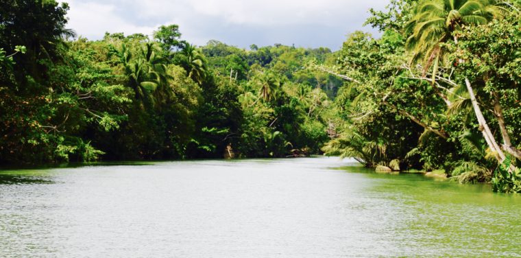 A Bohol Christmas 2016