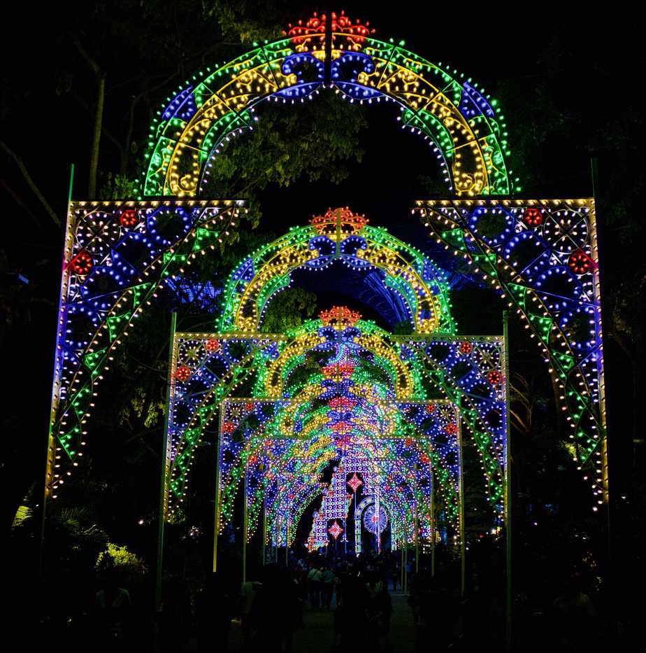 Christmas Wonderland Gardens By The Bay