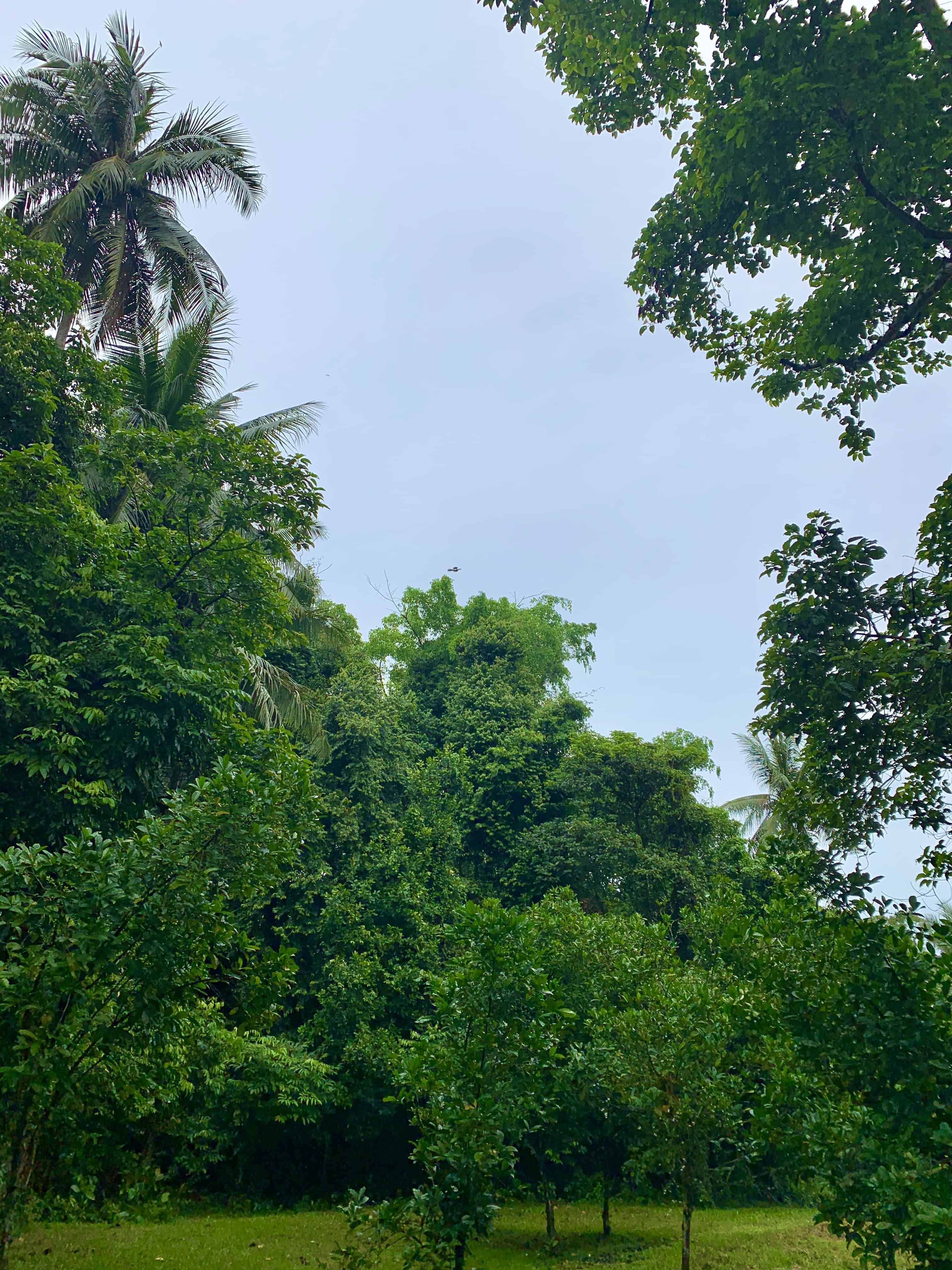 Pulau Ubin Aug'20 - a perfect storm, boats, & off-road