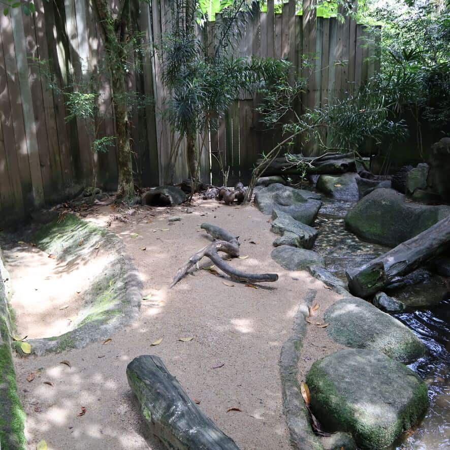 Singapore Zoo a rainy November'20