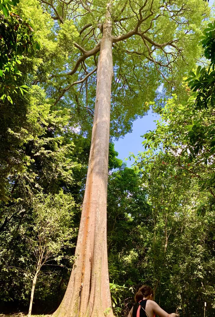 Pulau Ubin Dec'20 - 'the return'