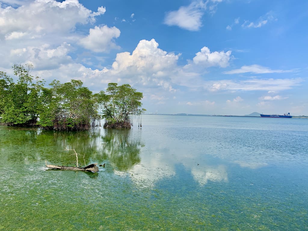 Pulau Ubin Dec'20 - 'the return'