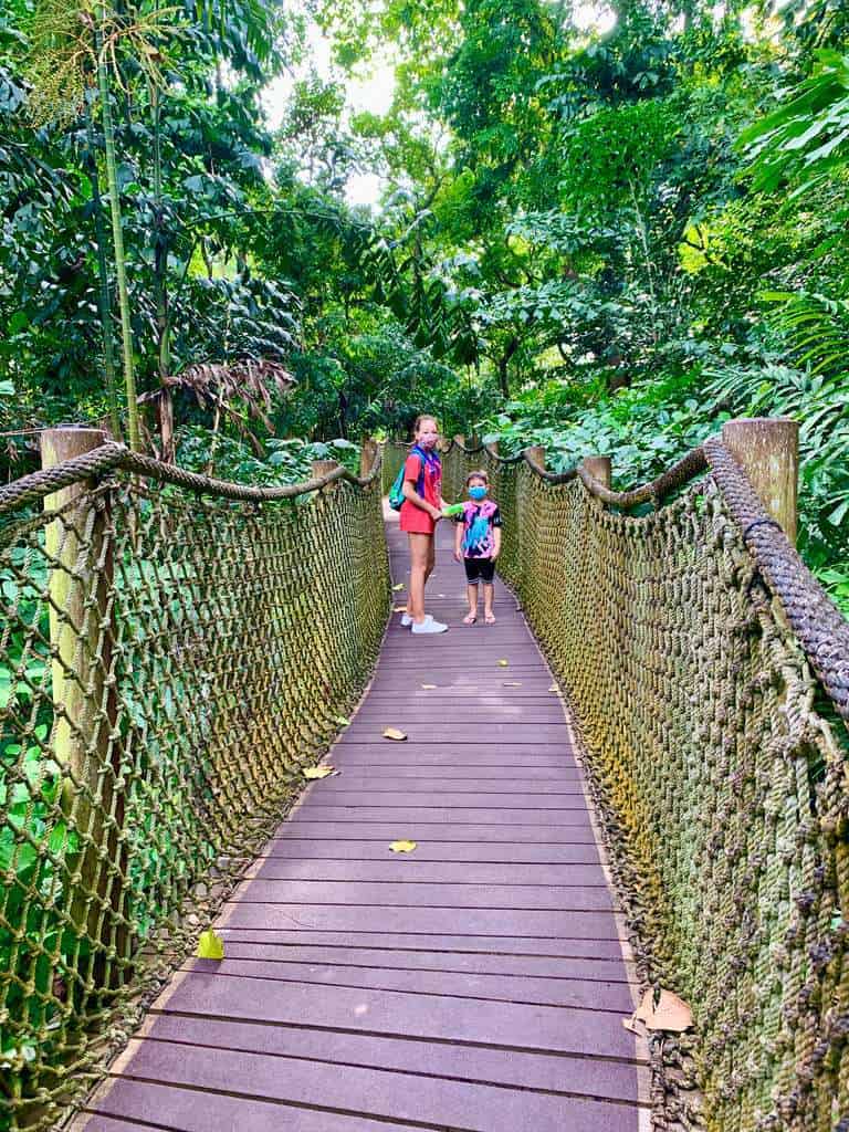 Sungei Buloh Wetland Reserve Jan 2021