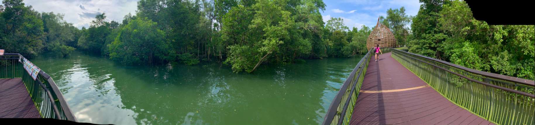 Sungei Buloh Wetland Reserve Jan 2021