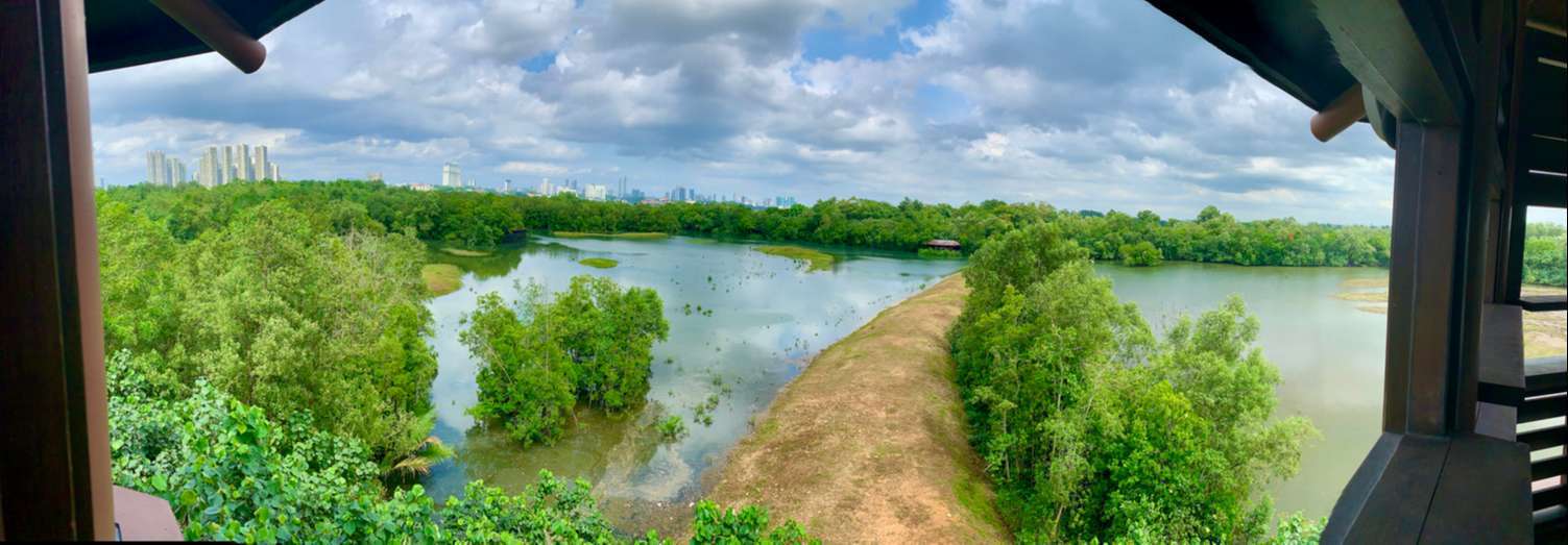 Sungei Buloh Wetland Reserve Jan 2021