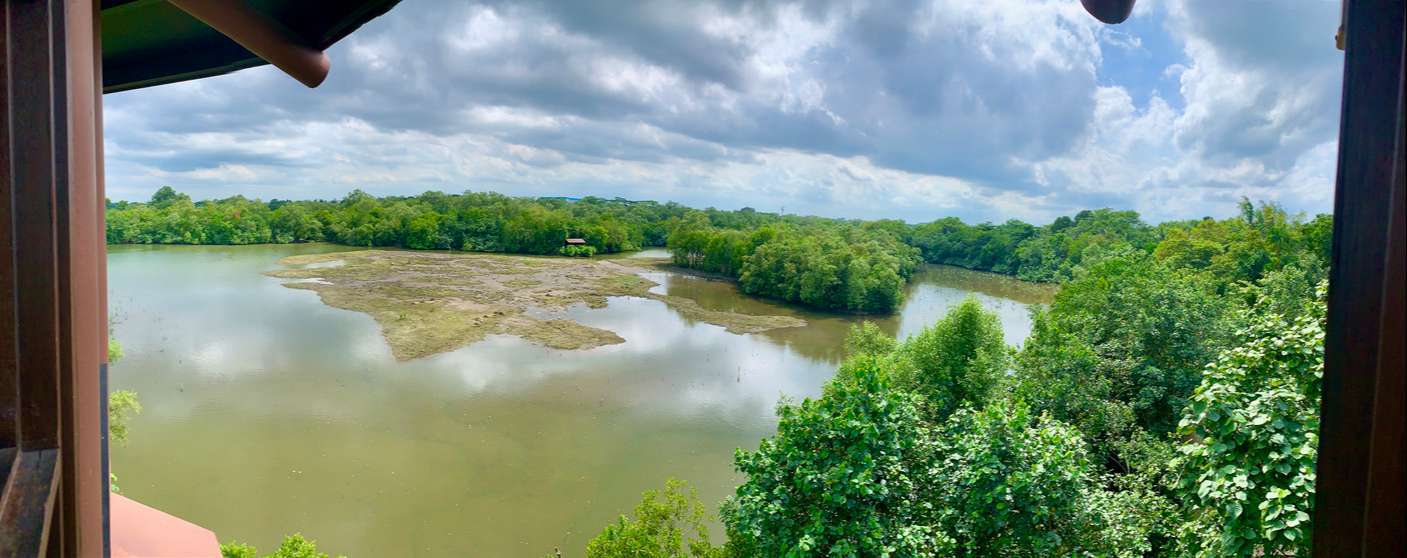 Sungei Buloh Wetland Reserve Jan 2021