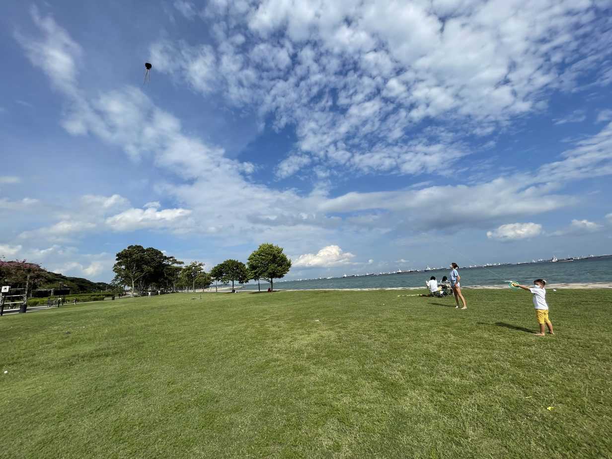 Kite Flying East Coast | Singapore | No iPads